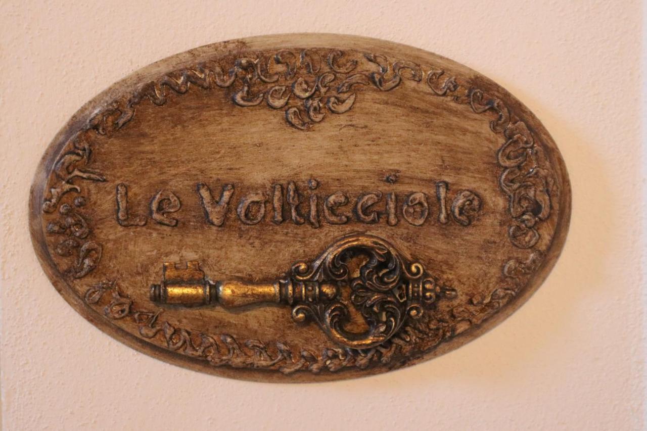 B&B La Taccola Castelnuovo di Val di Cecina Extérieur photo